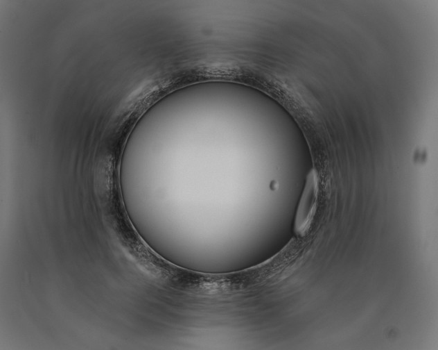 X0000090750744200708031607