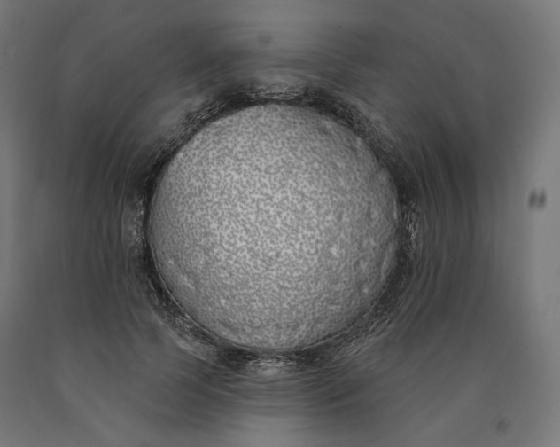 X0000090750745200708031607