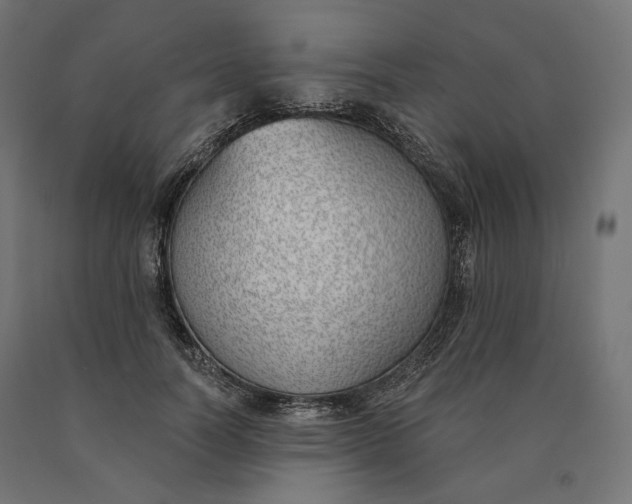 X0000090750746200708031607