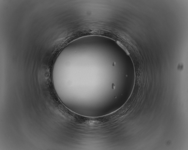 X0000090750748200708031607