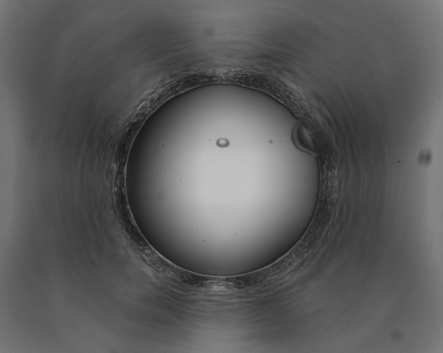 X0000090750750200708031607