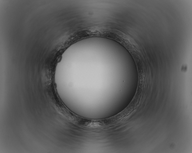 X0000090750751200708031608