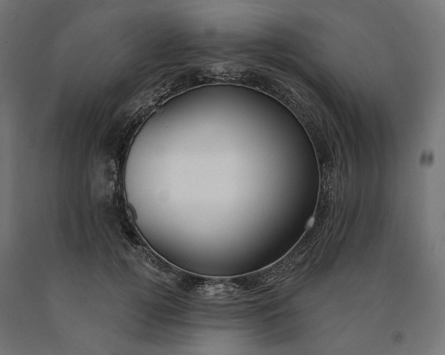 X0000090750752200708031608