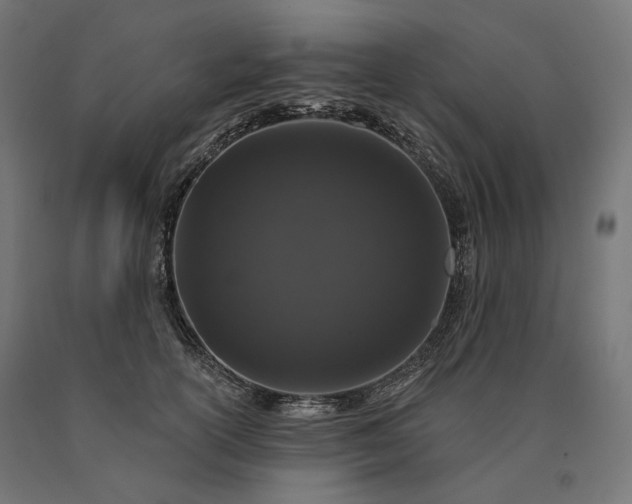 X0000090750754200708031608