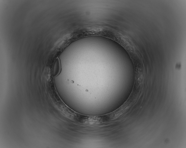 X0000090750758200708031608