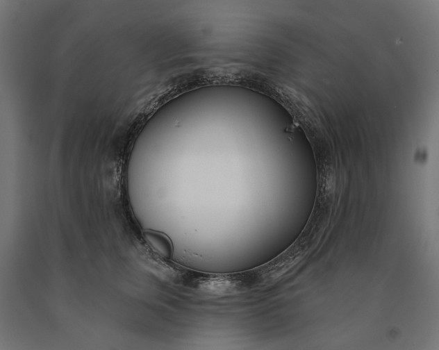 X0000090750759200708031608