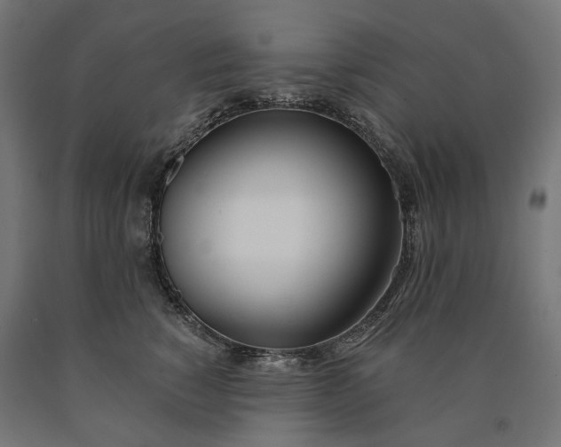 X0000090750760200708031608