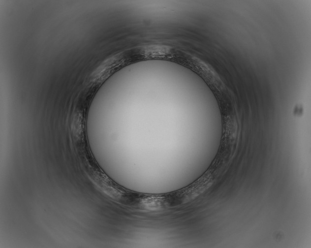 X0000090750761200708031608