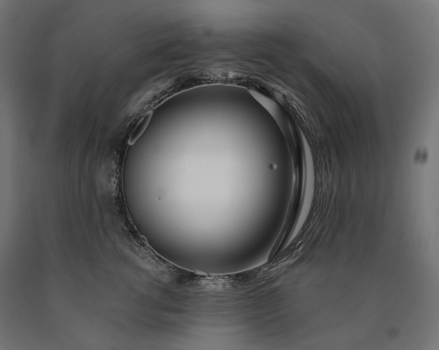 X0000090750762200708031608