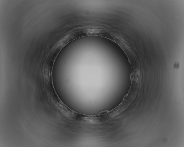 X0000090750763200708031608