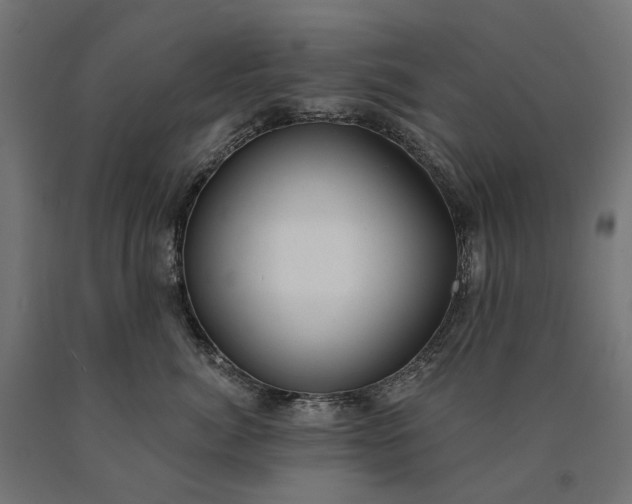 X0000090750764200708031608