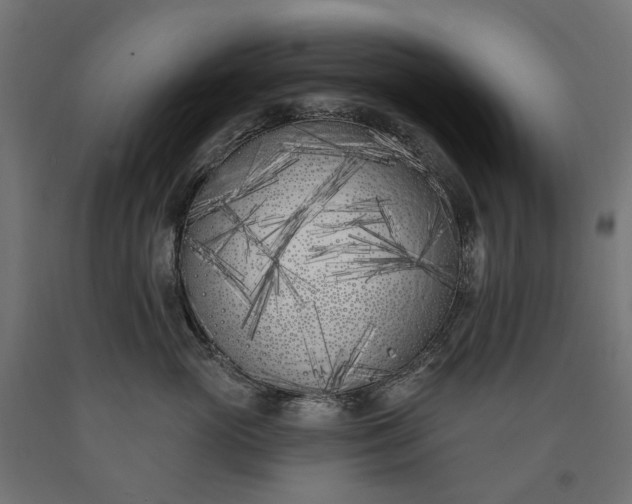 X0000090750765200708031608