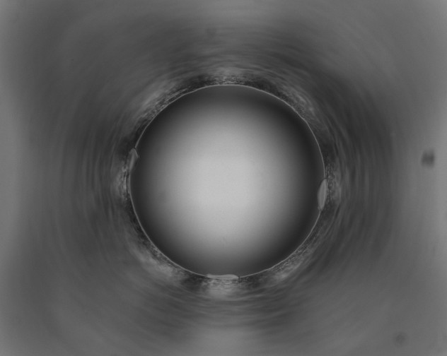 X0000090750766200708031608