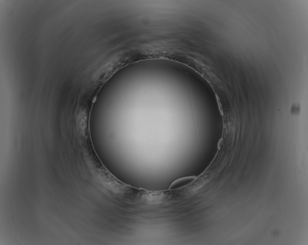 X0000090750767200708031608