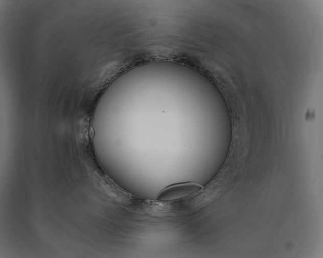 X0000090750768200708031608