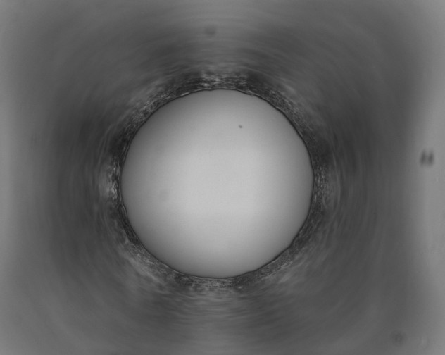 X0000090750770200708031607