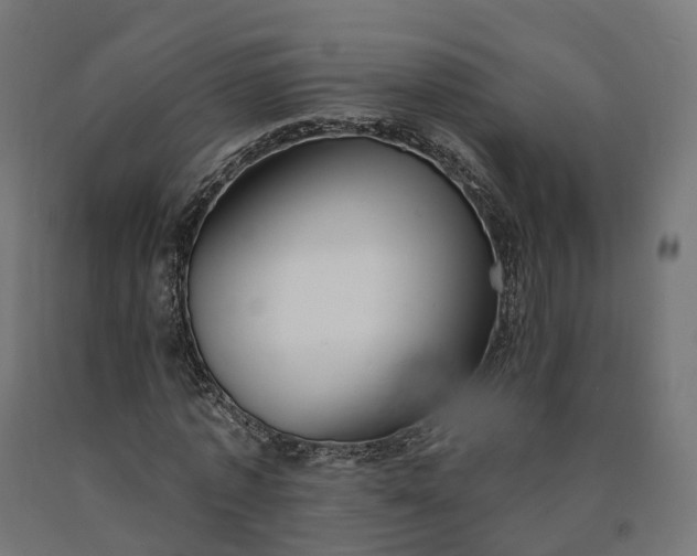 X0000090750773200708031607