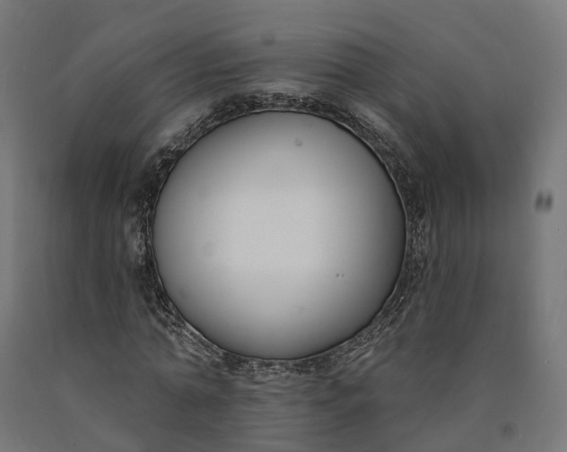 X0000090750774200708031607