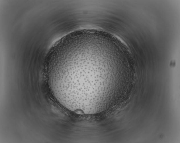 X0000090750775200708031607