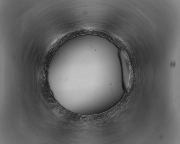 X0000090750776200708031607