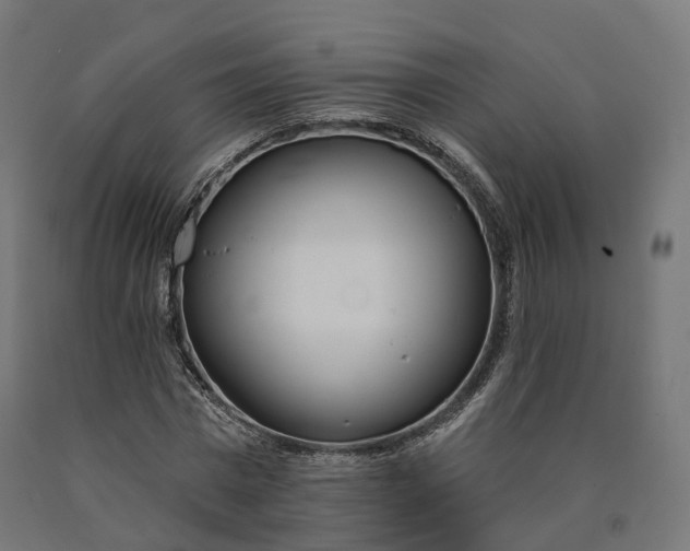 X0000090750777200708031607