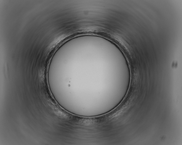 X0000090750778200708031607