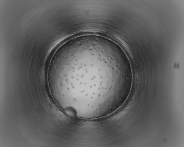 X0000090750779200708031607