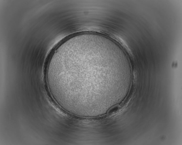 X0000090750780200708031607