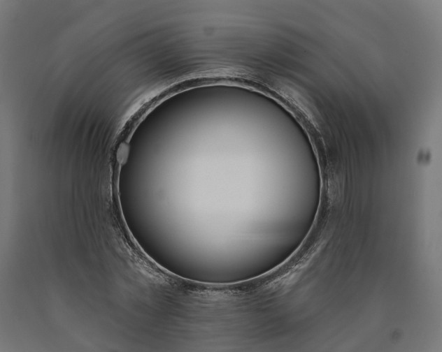 X0000090750781200708031607