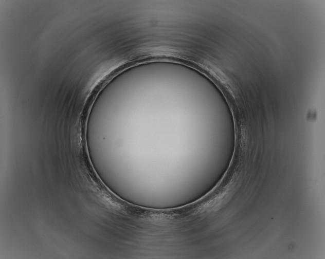 X0000090750782200708031607