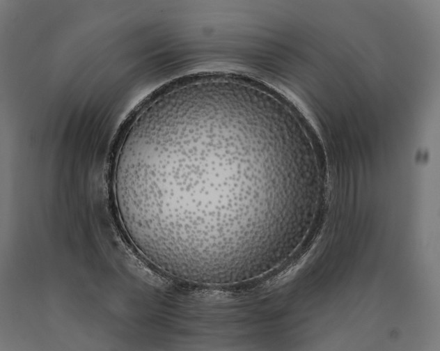 X0000090750783200708031607