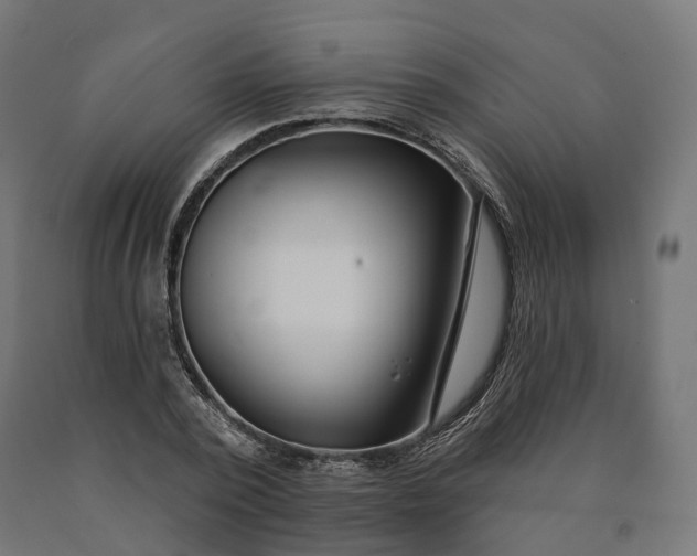 X0000090750784200708031607