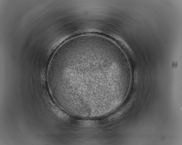 X0000090750785200708031607