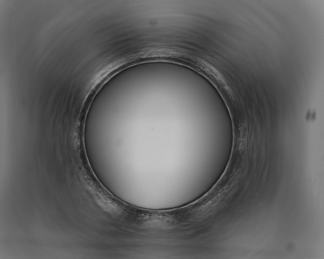 X0000090750786200708031607