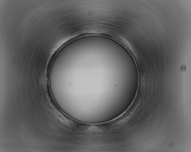 X0000090750787200708031607