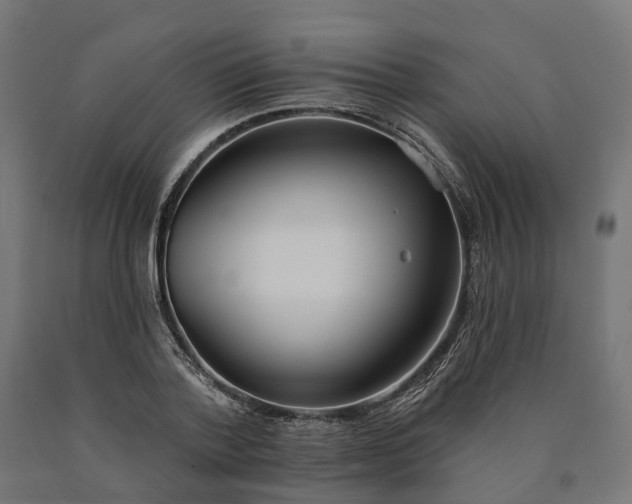 X0000090750788200708031607