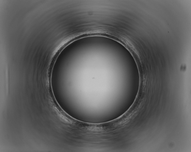 X0000090750789200708031607