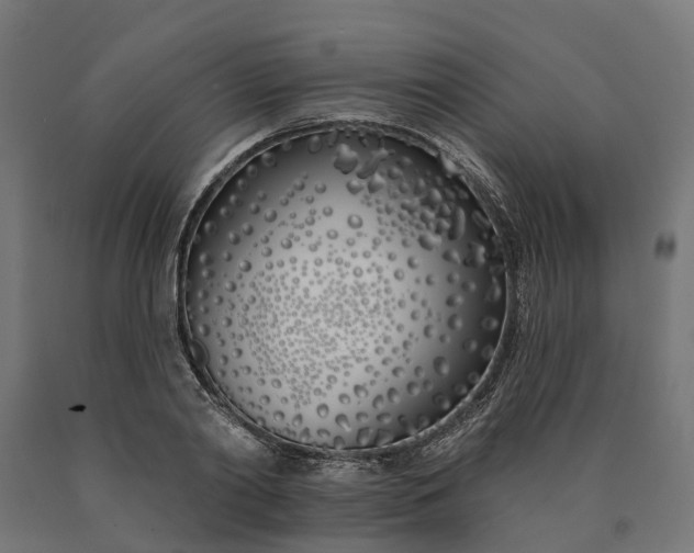 X0000090750790200708031607