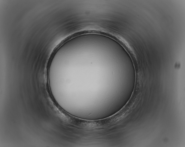 X0000090750791200708031607