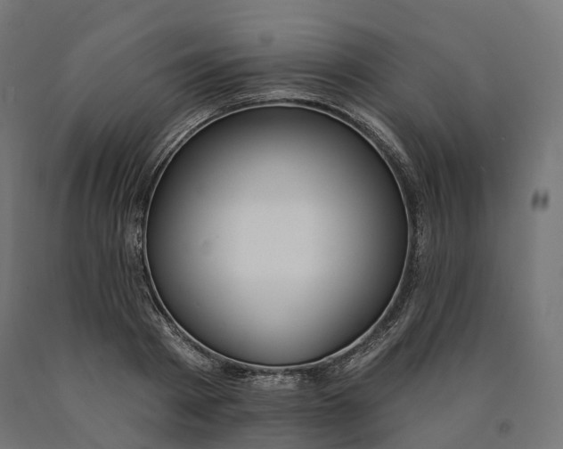 X0000090750793200708031607