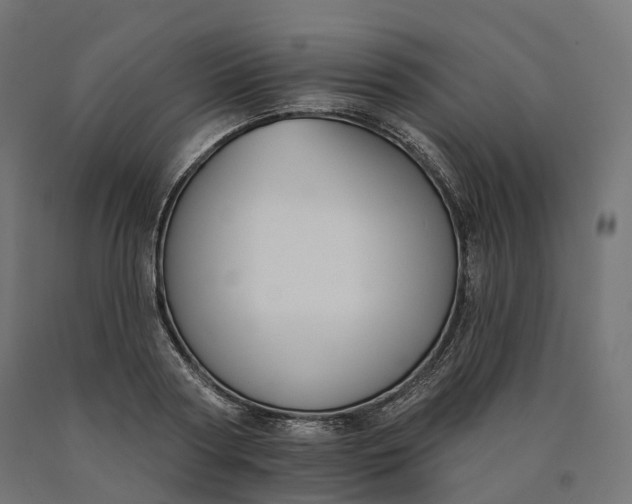 X0000090750794200708031607