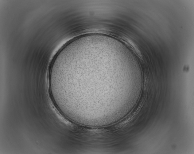 X0000090750796200708031606