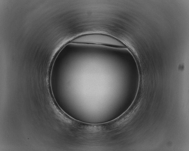 X0000090750797200708031606