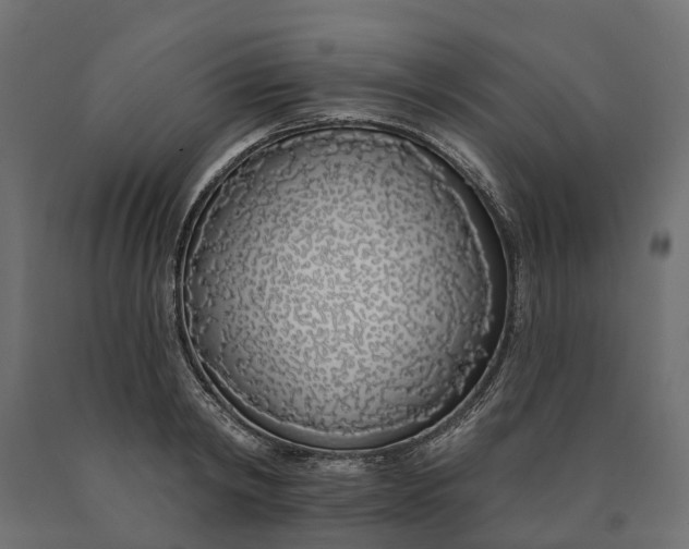 X0000090750798200708031606