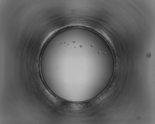 X0000090750799200708031606