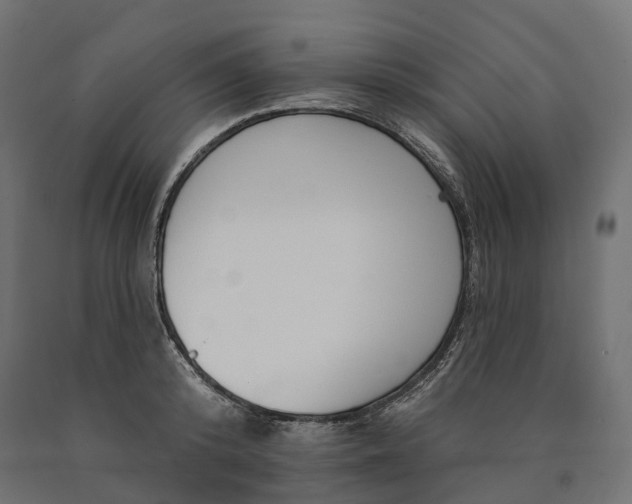 X0000090750800200708031606