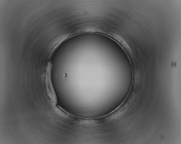 X0000090750801200708031606