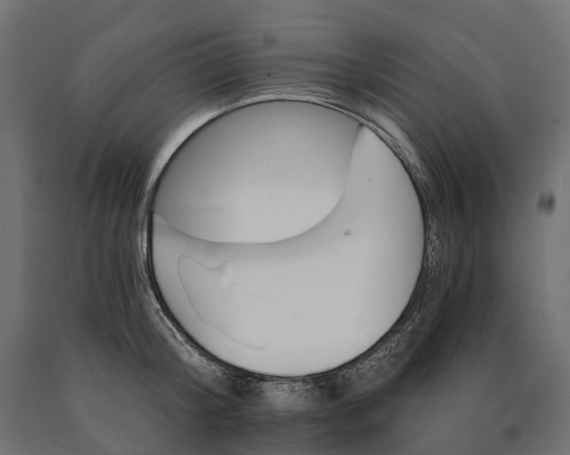 X0000090750804200708031606