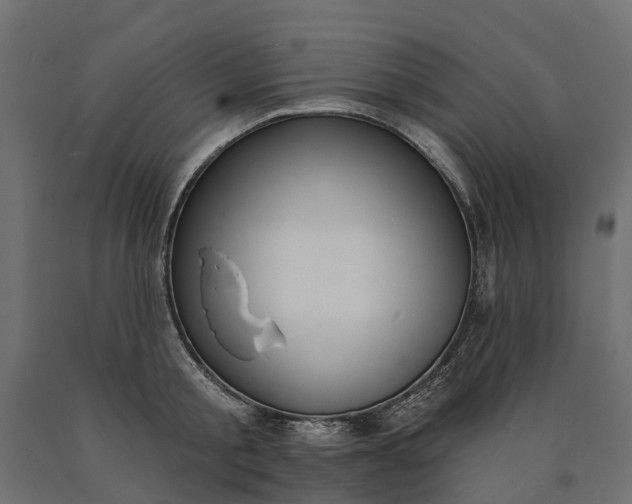 X0000090750805200708031606