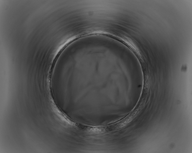 X0000090750806200708031606